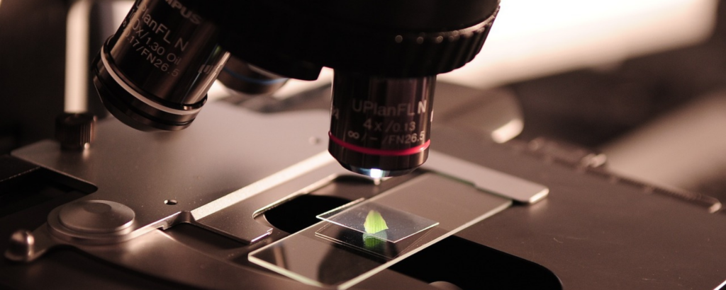 Moderne Züchtungsmethoden: 5 Irrtümer über die Genschere CRISPR/Cas